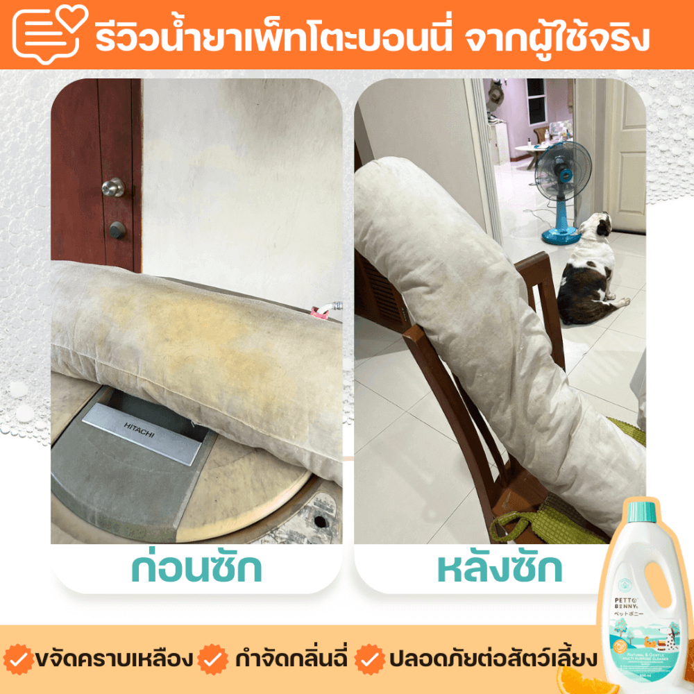 น้ำยาทำความสะอาดอเนกประสงค์ PETTO BONNYS สูตรเข้มข้น กลิ่นเปปเปอร์มินต์และส้ม 600 มล. ชนิดถุงเติม 12 ถุง